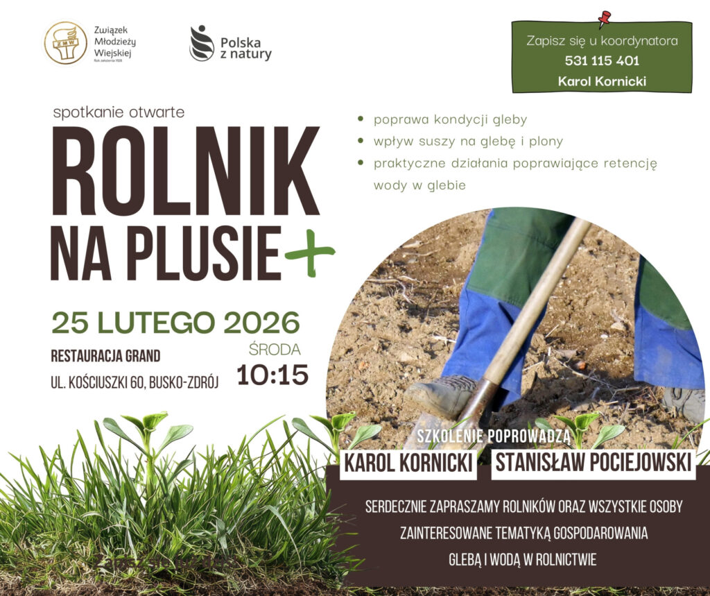 Grafika Busko Zdrój