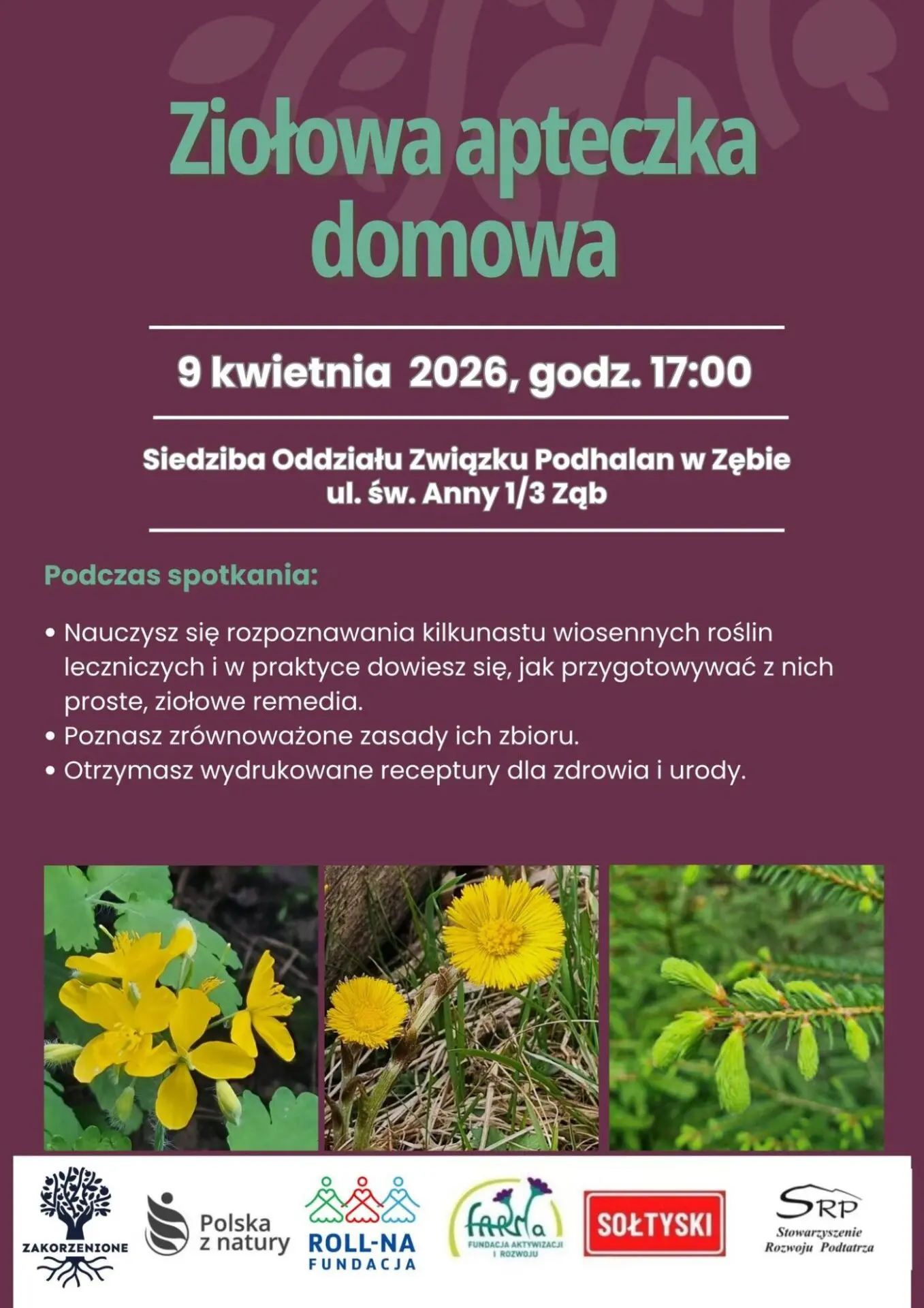 Grafika Ziolowa apteczka domowa
