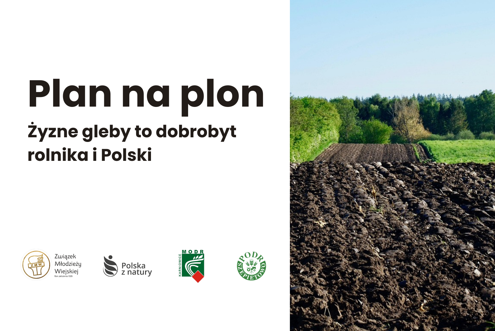 Plan na Plon