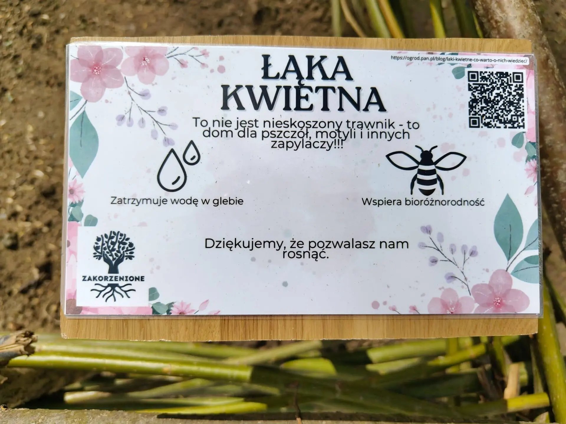 Spotkanie Wola Wielka