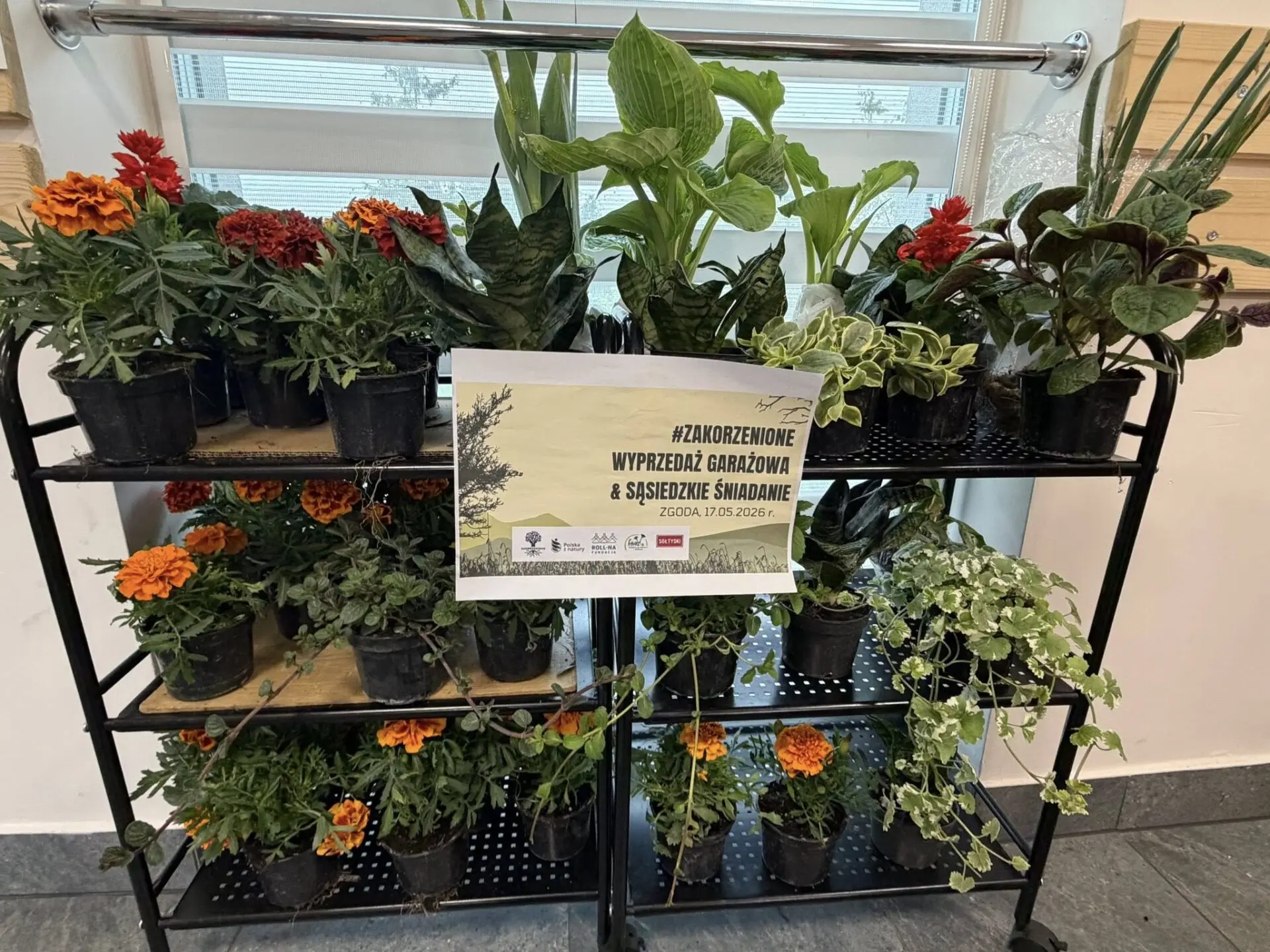 Wyprzedaż garażowa