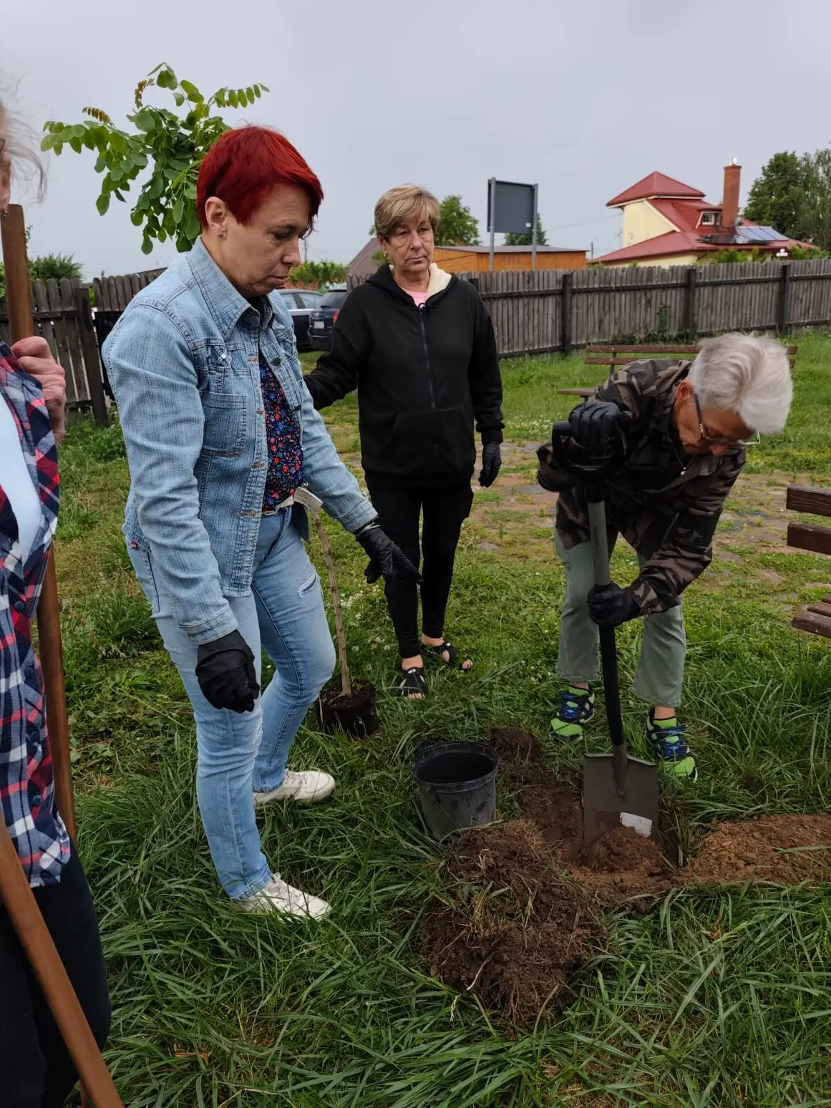 Zakorzenione Podlasianki