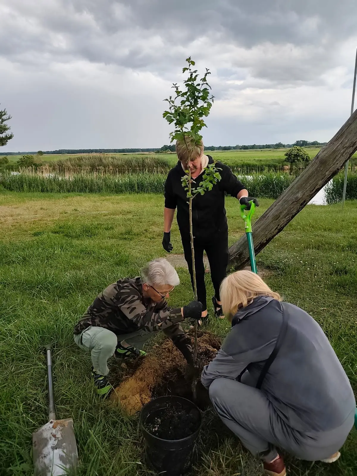 Zakorzenione Podlasianki